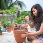 From Concept to Creation: Hardscaping Excellence in San Mateo